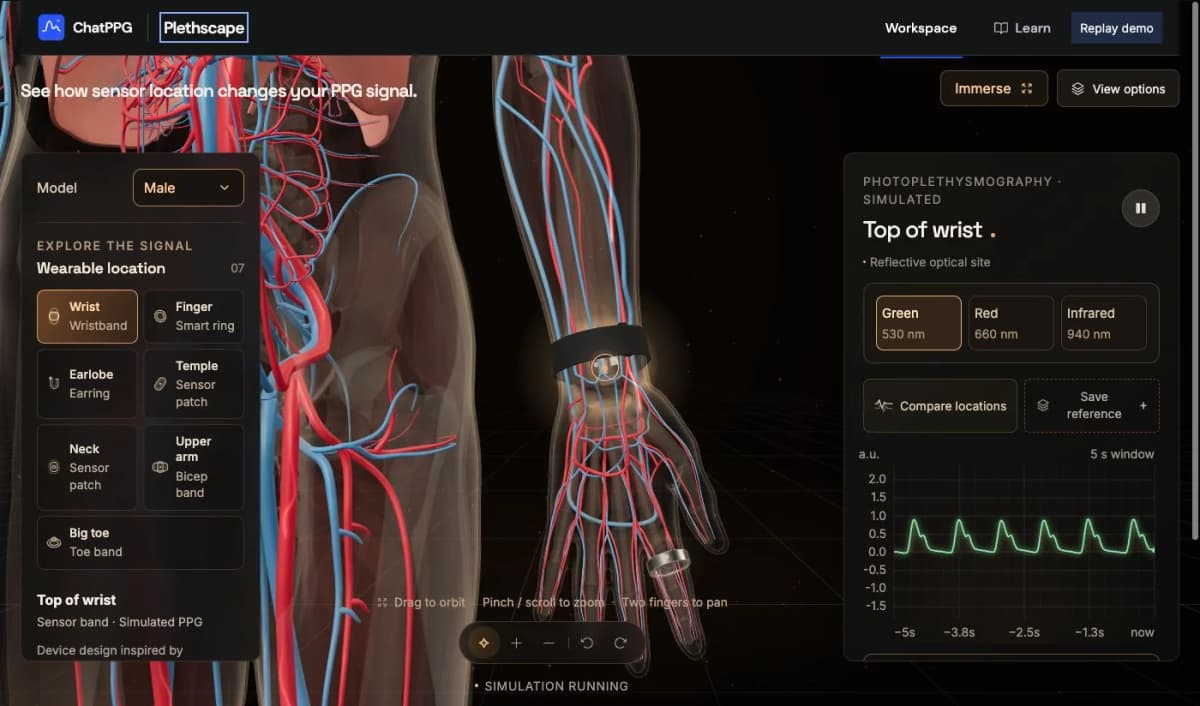 Actual Plethscape workspace with the anatomical model, wrist sensor and simulated PPG trace
