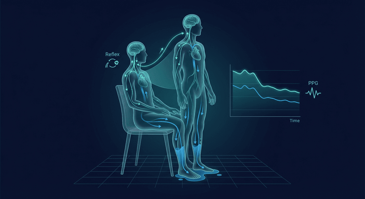 PPG Orthostatic Hypotension Detection: Can Optical Pulse Signals Catch a Standing BP Drop?