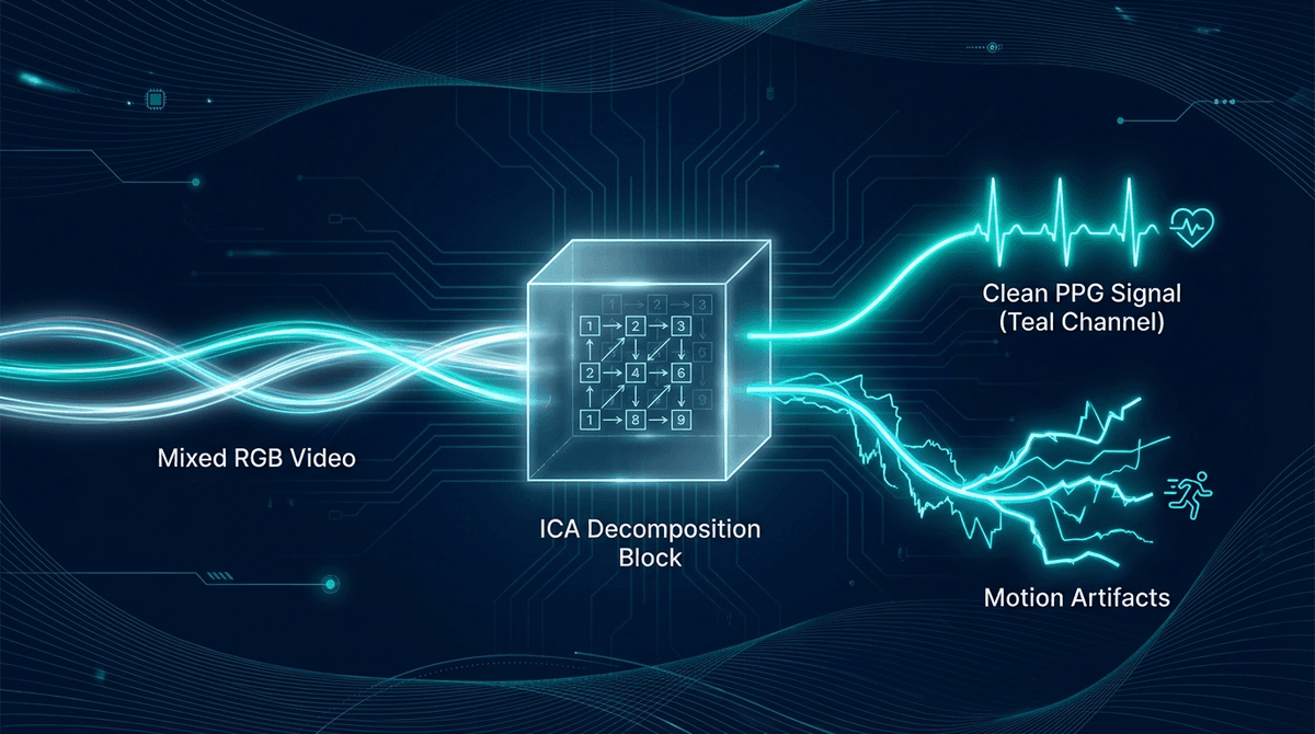 Independent Component Analysis for rPPG: Separating Blood Flow from Motion